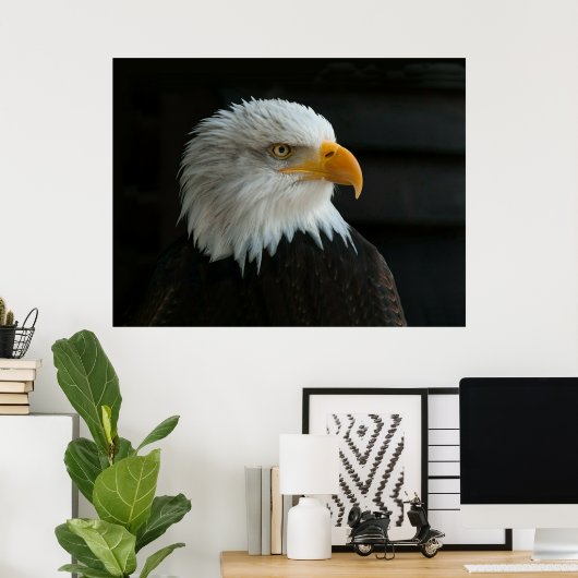 BALD EAGLE POSTER (Heimbüro)