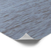 Bald Eagle Poster (Ecke)