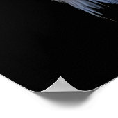 Bald Eagle Poster (Ecke)