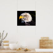 Bald Eagle Poster (Küche)
