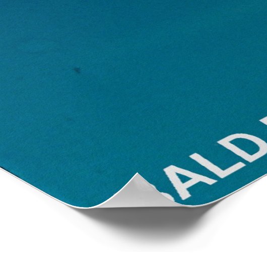 Bald Eagle Poster (Ecke)