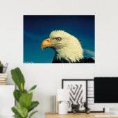 Bald Eagle Poster (Heimbüro)