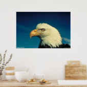 Bald Eagle Poster (Küche)