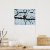 Bald Eagle Poster (Küche)