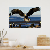 Bald-Eagle-Poster Poster (Küche)