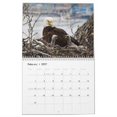 Bald Eagle Posterized 2026 Kalender (Feb 2027)