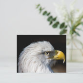 Bald Eagle Postkarte (Stehend Vorderseite)