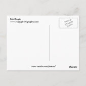 Bald Eagle Postkarte (Rückseite)