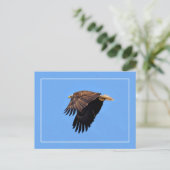 Bald Eagle Postkarte (Stehend Vorderseite)