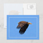 Bald Eagle Postkarte (Vorne/Hinten)