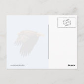 Bald Eagle Postkarte (Rückseite)