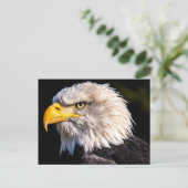 Bald Eagle Postkarte (Stehend Vorderseite)