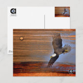 BALD EAGLE POSTKARTE (Vorne/Hinten)