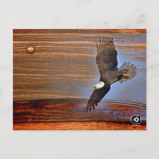 BALD EAGLE POSTKARTE (Vorderseite)