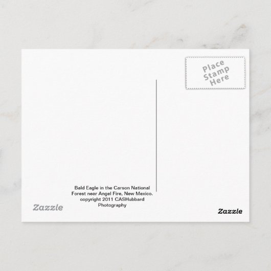Bald Eagle Postkarte (Rückseite)