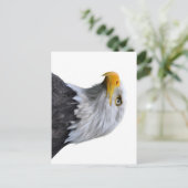 Bald Eagle Postkarte (Stehend Vorderseite)