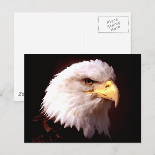 Bald Eagle Postkarte (Vorne/Hinten)