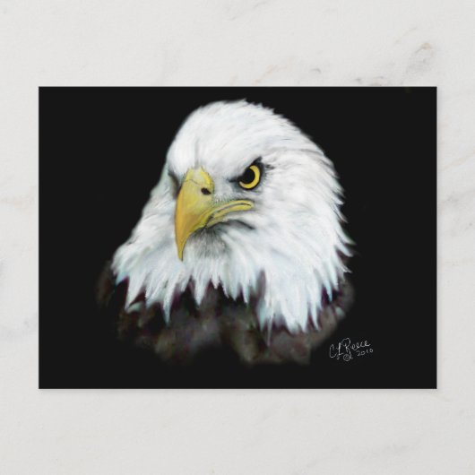 Bald Eagle Postkarte 2 (Vorderseite)