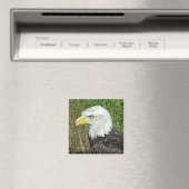 Bald Eagle Profile Magnet (In Situ (Geschirrspüler))
