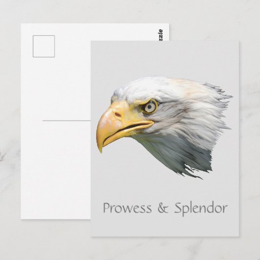 Bald Eagle Prowess & Splendor anpassbar Postkarte (Vorne/Hinten)