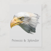 Bald Eagle Prowess & Splendor anpassbar Postkarte (Vorderseite)