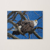 Bald Eagle Puzzle (Horizontal)