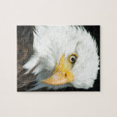 Bald Eagle Puzzle (Horizontal)