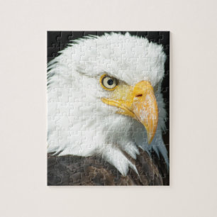 Bald Eagle Puzzle