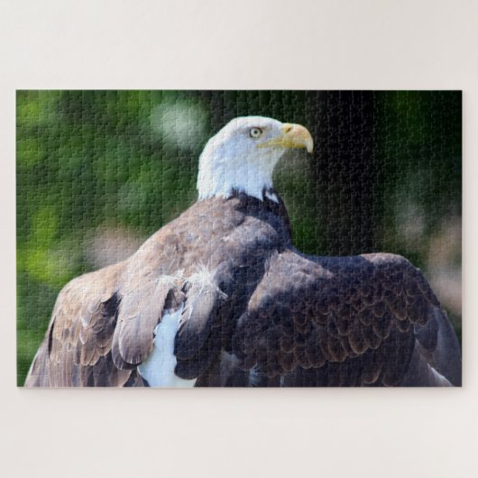 Bald Eagle Puzzle (Horizontal)