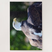 Bald Eagle Puzzle (Vertikal)