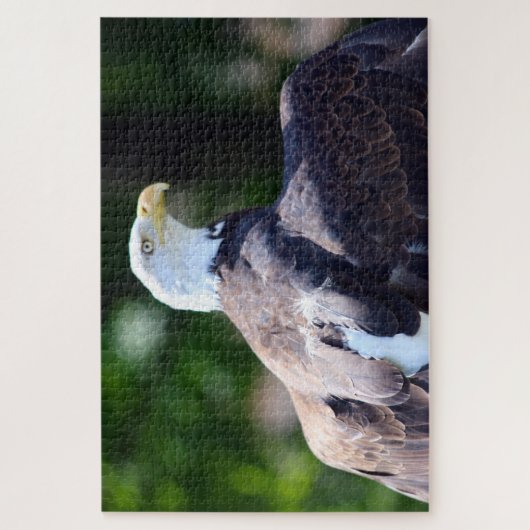 Bald Eagle Puzzle (Vertikal)