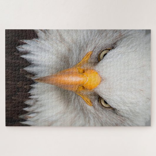 Bald Eagle Puzzle (Horizontal)