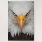Bald Eagle Puzzle (Vertikal)