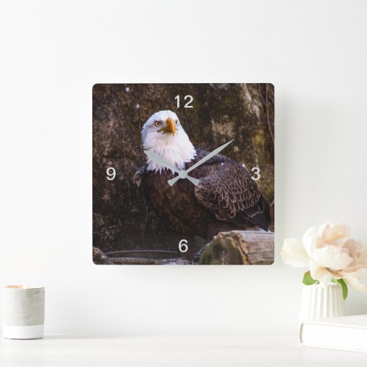 Bald Eagle Quadratische Wanduhr (Zuhause)