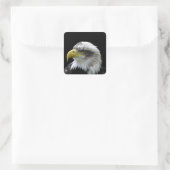 Bald Eagle Quadratischer Aufkleber (Tasche)