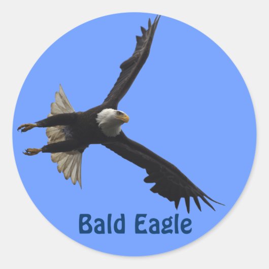 Bald Eagle Raptor Birdlover's Wildlife Sticker (Vorderseite)