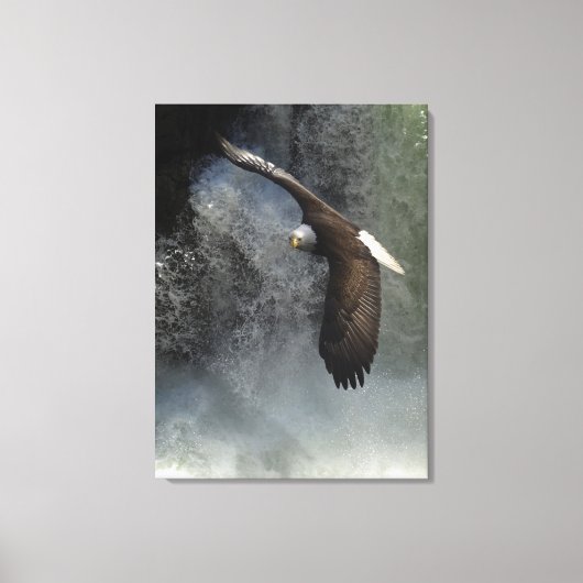 Bald Eagle Raptor Wild Animal Foto Poster Leinwanddruck (Vorderseite)