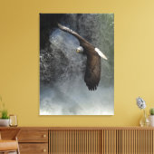 Bald Eagle Raptor Wild Animal Foto Poster Leinwanddruck (Insitu (Wohnzimmer))