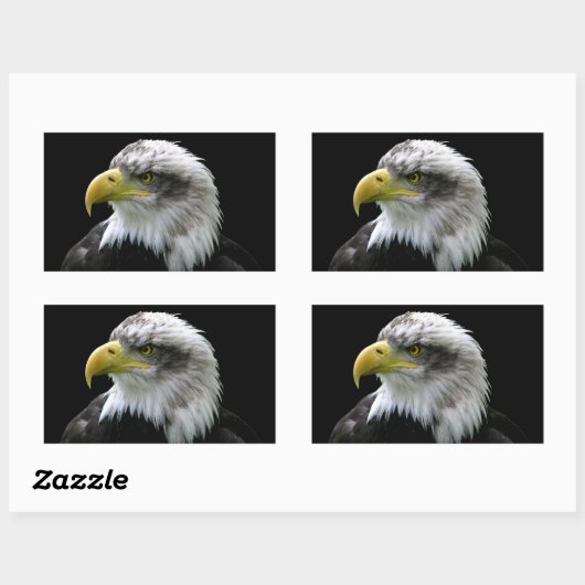 Bald Eagle Rechteckiger Aufkleber (Blatt)
