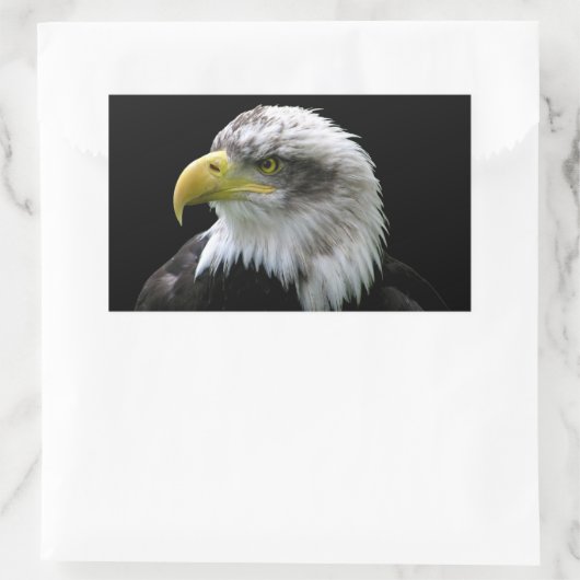 Bald Eagle Rechteckiger Aufkleber (Tasche)