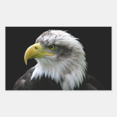 Bald Eagle Rechteckiger Aufkleber (Vorderseite)