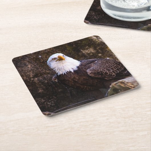 Bald Eagle Rechteckiger Pappuntersetzer (angewinkelt)