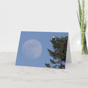 Bald Eagle Rising Full Moon Karte