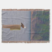 Bald Eagle ruft von der Post am See Decke (Vorderseite)