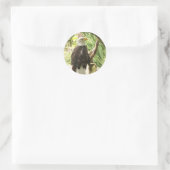 Bald Eagle Runder Aufkleber (Tasche)