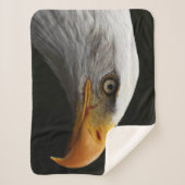 Bald Eagle sbcna Sherpadecke (Vorderseite)