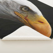 Bald Eagle sbcnm Sherpadecke (3/4)