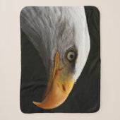 Bald Eagle sbcnm Sherpadecke (Vorderseite)