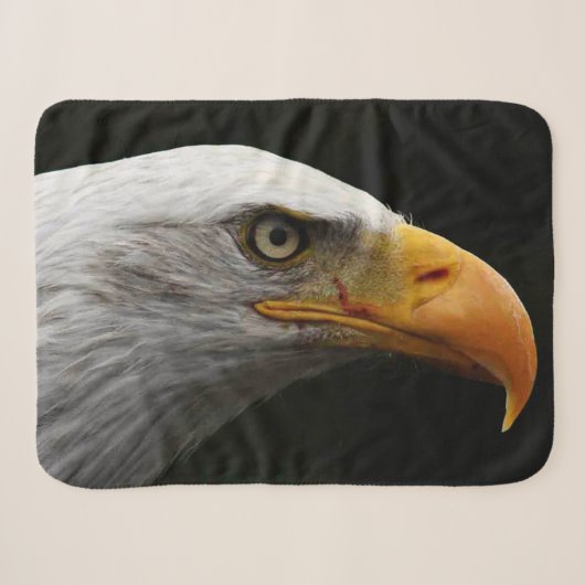 Bald Eagle sbcnm Sherpadecke (Vorderseite (Horizontal))
