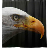 Bald Eagle sccnm Duschvorhang (Vorderseite)